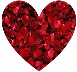 Liefde meervoud op Valentijnsdag - Pluk de Liefde